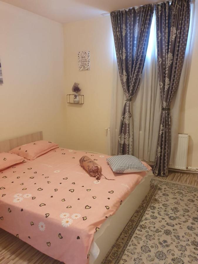 Relax Haus Hotel Hunedoara Exterior foto